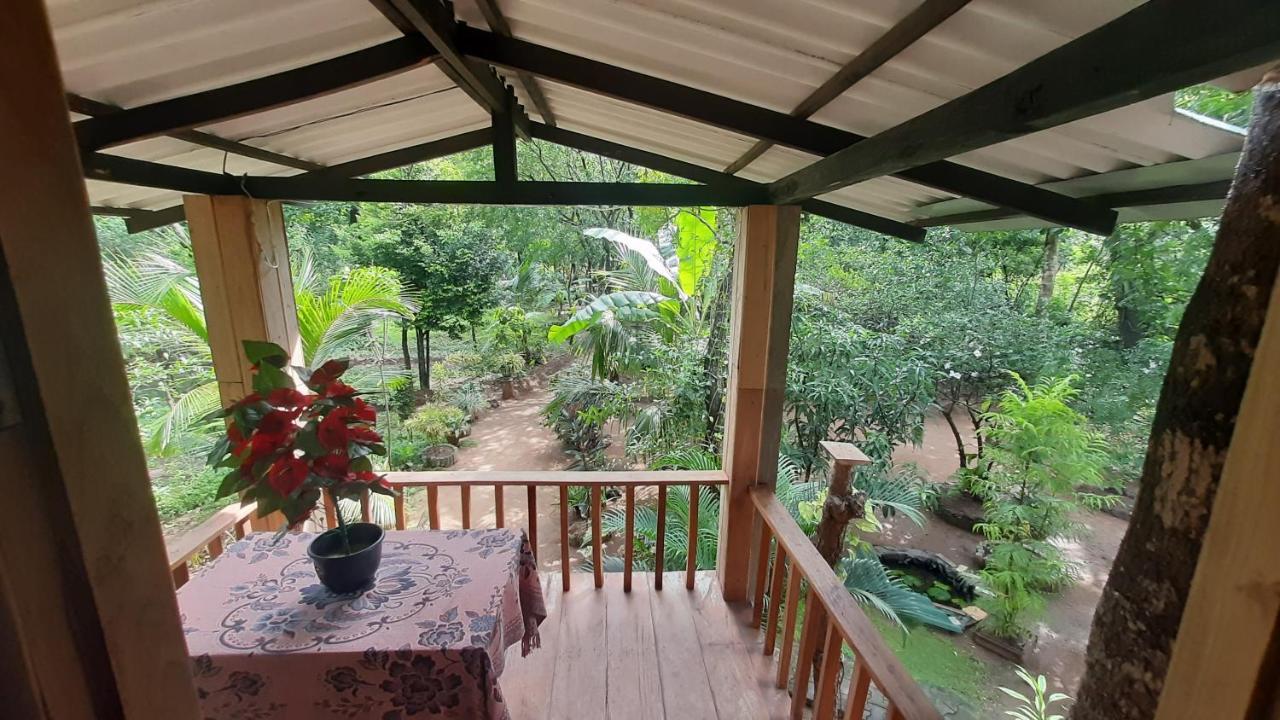 Ruk Sewana Villa Tree House Sigiriya Exterior photo