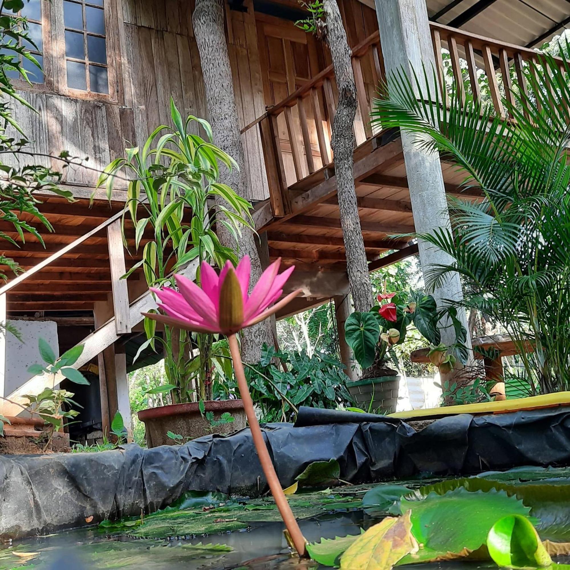 Ruk Sewana Villa Tree House Sigiriya Exterior photo